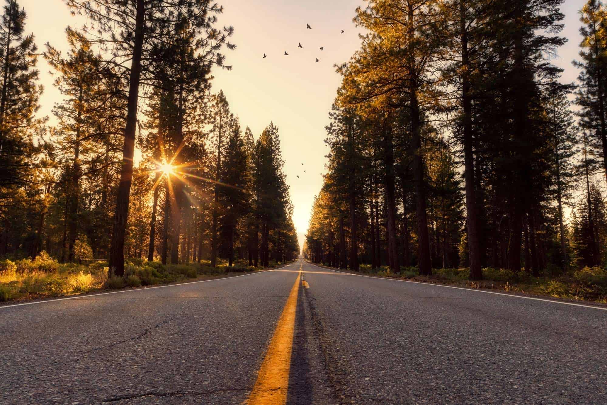 open-road
